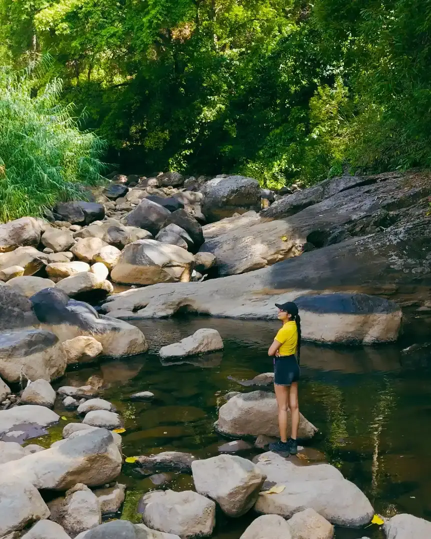 Guided Hiking & Nature Walks